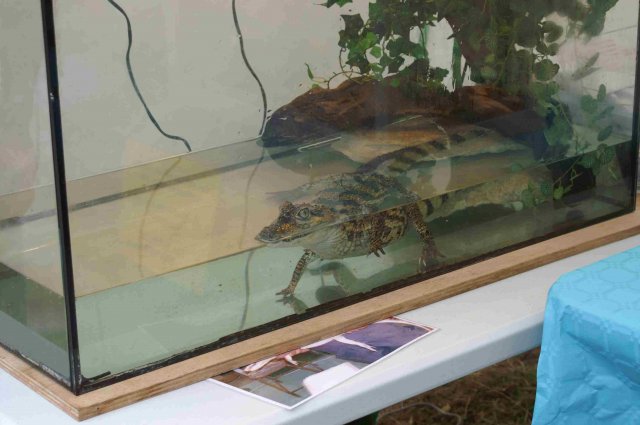 foire-haricots 2011-09-17et18